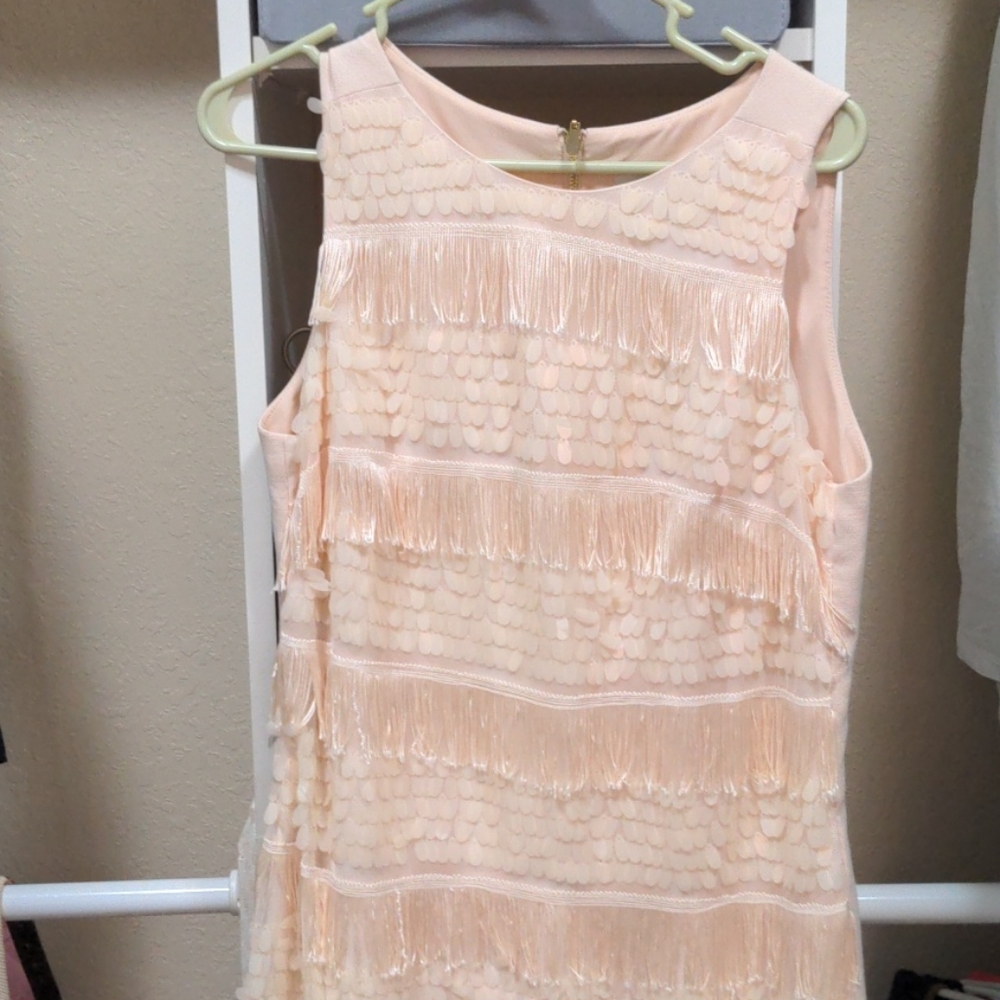 Pink Flapper Style Dress